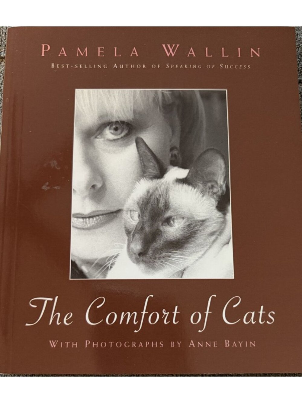 The Comfort Of Cats By Pamela Wallin With Photographs By Anne Bayin Hardcover
